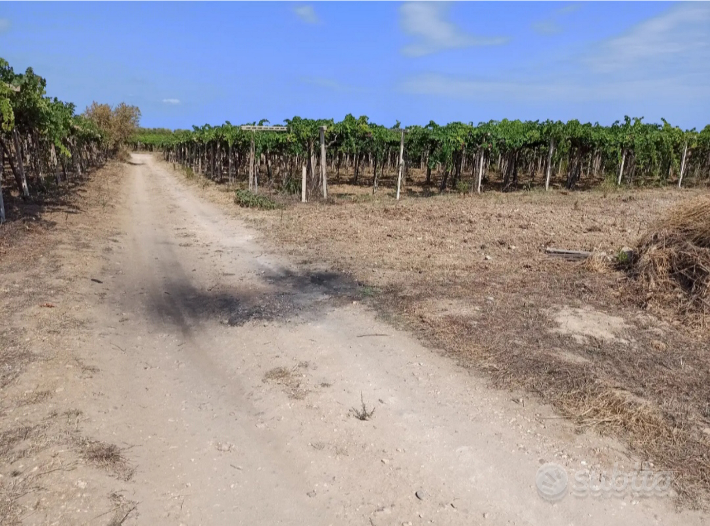 Terreno agricolo - Vista 2