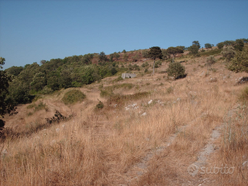 Terreno agricolo Rapugliano