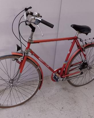 bicicletta Adriatica