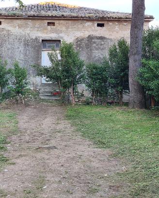 Vendita Immobile da ristrutturare con Terreno