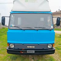 Camion trasporto animali vivi 