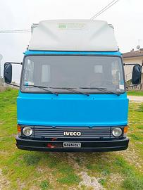 Camion trasporto animali vivi 