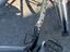 Immagine 6