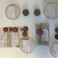 TAMPONI DI RISCONTRO