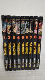 Manga Dragon Ball 2002 - 2005