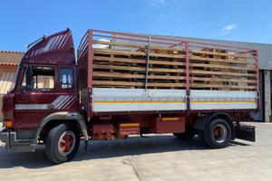 Camion iveco