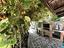 Immagine 28