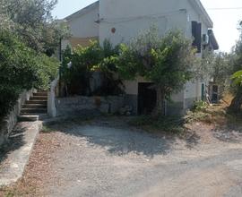 Villa singola con giardino