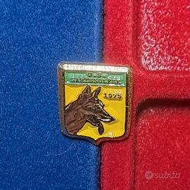 Spilla smaltata senza resina pin U.S. Sarissolese