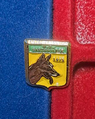 Spilla smaltata senza resina pin U.S. Sarissolese