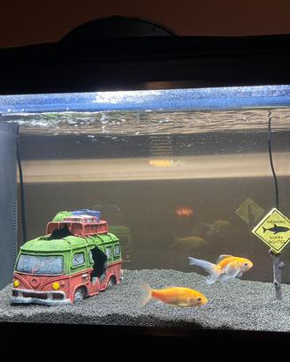 Acquario Amtra Riviera 60litri con base