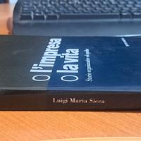 libro o l'impresa o la vita di Luigi Maria Sicca