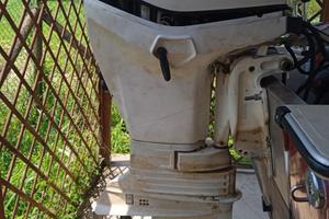 Evinrude etec 40