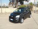 fiat-panda-1-2-easy-5-posti-