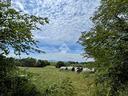 ter-agricolo-a-castrocielo