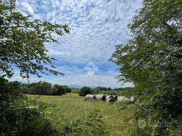 TER. AGRICOLO A CASTROCIELO
