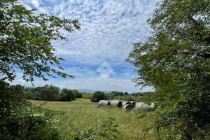 TER. AGRICOLO A CASTROCIELO