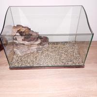 Acquario per tartarughe