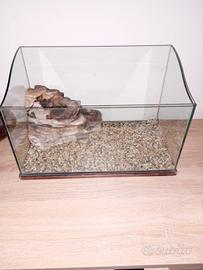 Acquario per tartarughe