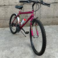 Mountain bike raggio 26