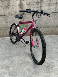 Mountain bike raggio 26