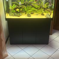 Juwel rio 350 con mobile