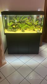 Juwel rio 350 con mobile