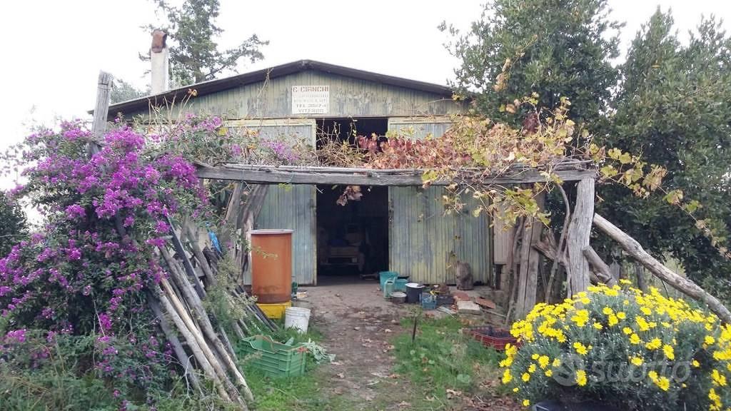 Terreno di 65 m² a Tuscania - Vista 4