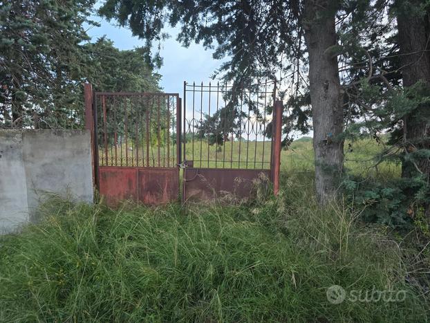 Terreno uso agricolo pianeggiante