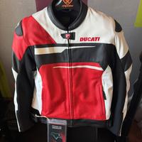 Giacca pelle Ducati Alpinestar