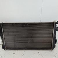 8200880550 RADIATORE ACQUA DACIA DUSTER I (HS) 4WD
