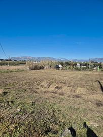 Terreno agricolo