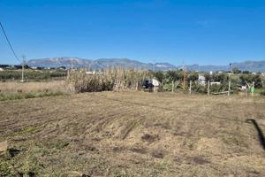Terreno agricolo