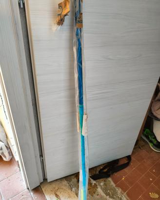 Canna da pesca 