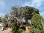 Immagine 23