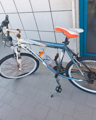 bici Raggio 26