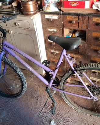 Mountain Bike donna