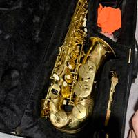 Sax contralto ROYBENSON AS101