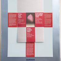 LOTTO CALENDARI ZANDERS