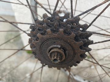  ruote campagnolo per cambio due leve 