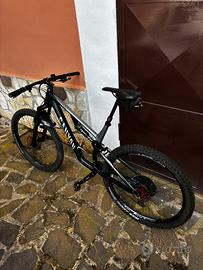 Canyon Neuron AL