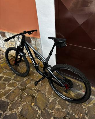 Canyon Neuron AL
