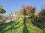 Immagine 23