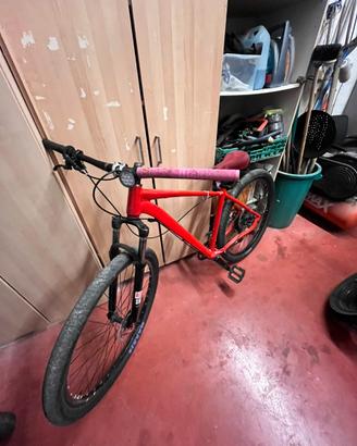 Bici rebellato