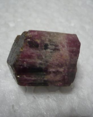 Tormalina Policroma