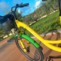 e-bike motore al mozzo da 250w 