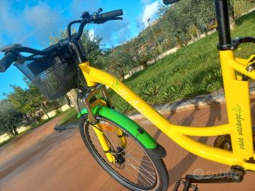 e-bike motore al mozzo da 250w 