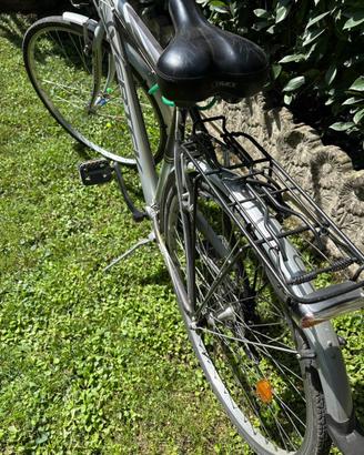 Bicicletta da uomo Vertek