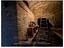 Immagine 12