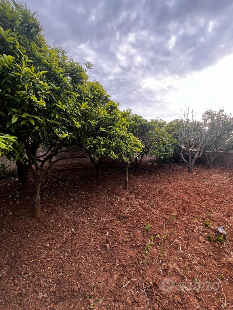 Magazzino con terreno - Altro